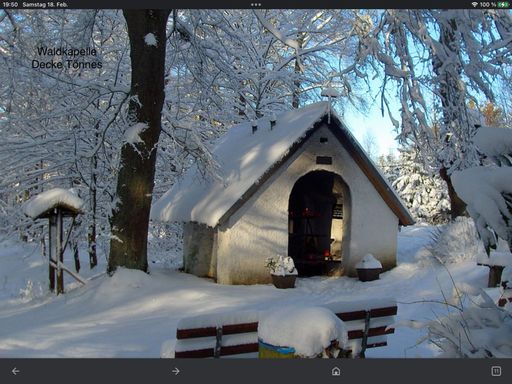 Waldkapelle Decke Tönnes